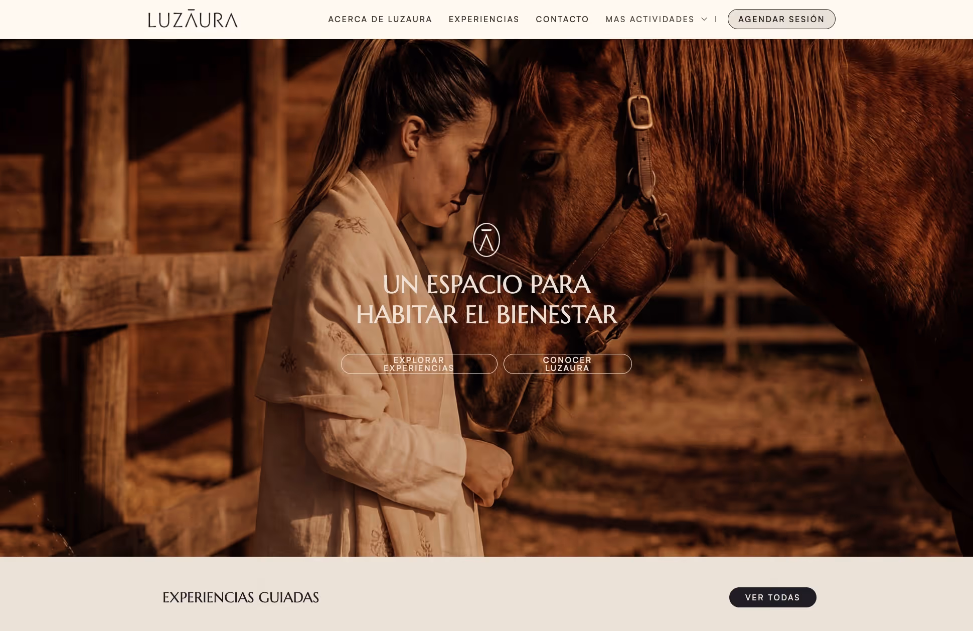 Luzaura wellness